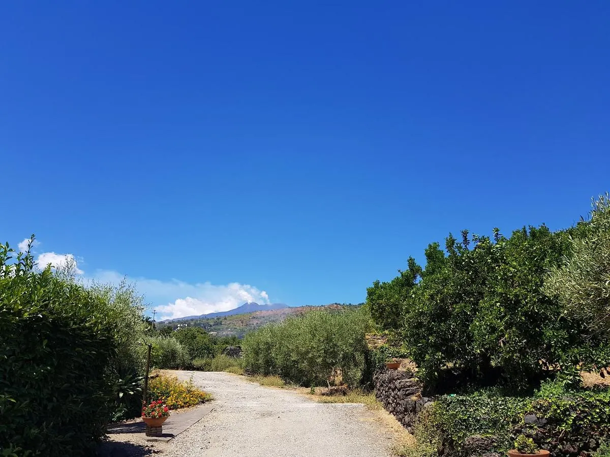 Agriturismo Le Case Di Civi マスカリ 0*,