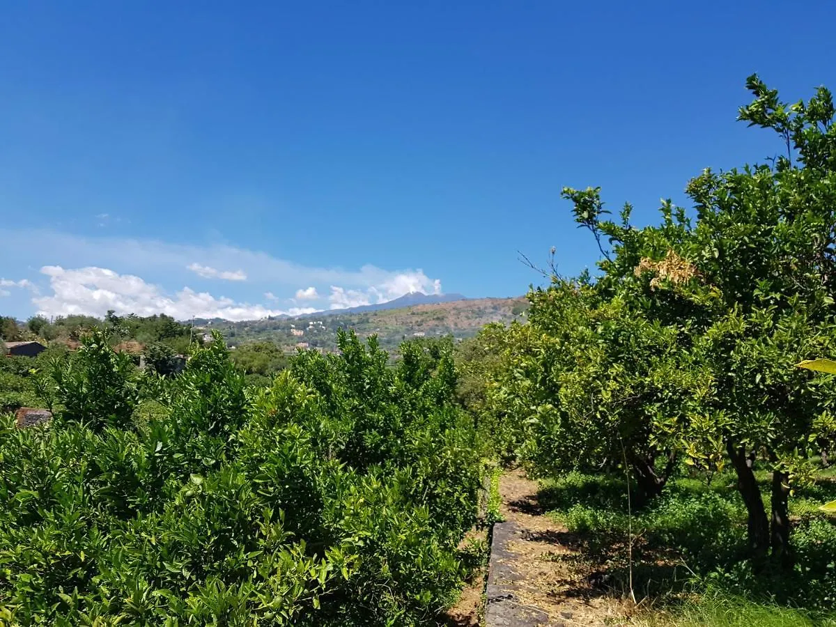 Bauernhof Agriturismo Le Case Di Civi Mascali Italien