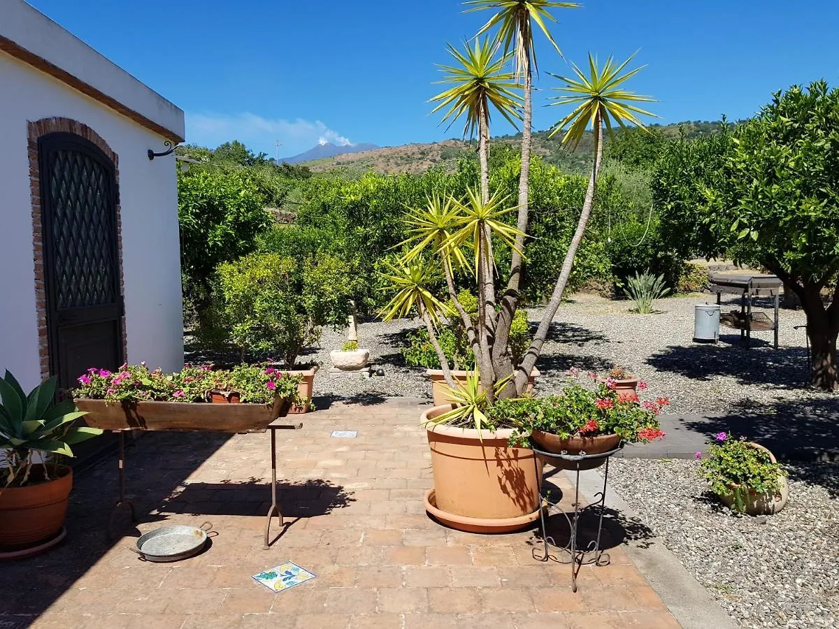 ファームステイ Agriturismo Le Case Di Civi マスカリ