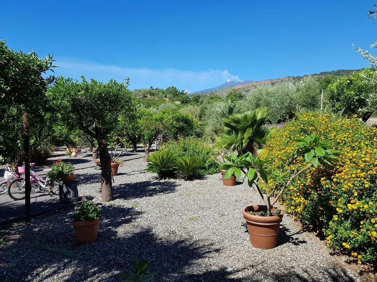 Agriturismo Le Case Di Civi マスカリ ファームステイ
