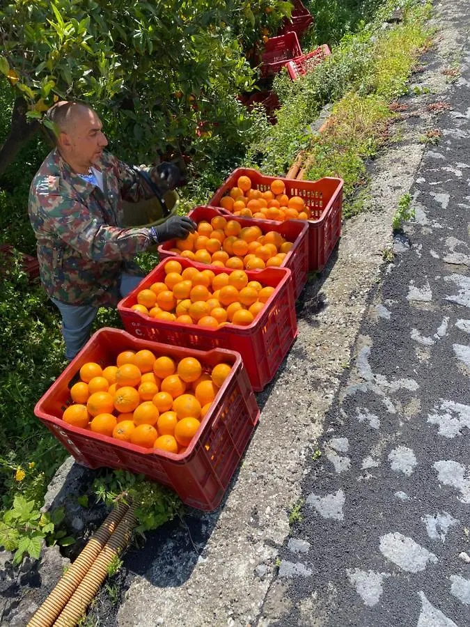 Agriturismo Le Case Di Civi マスカリ 0*,  イタリア